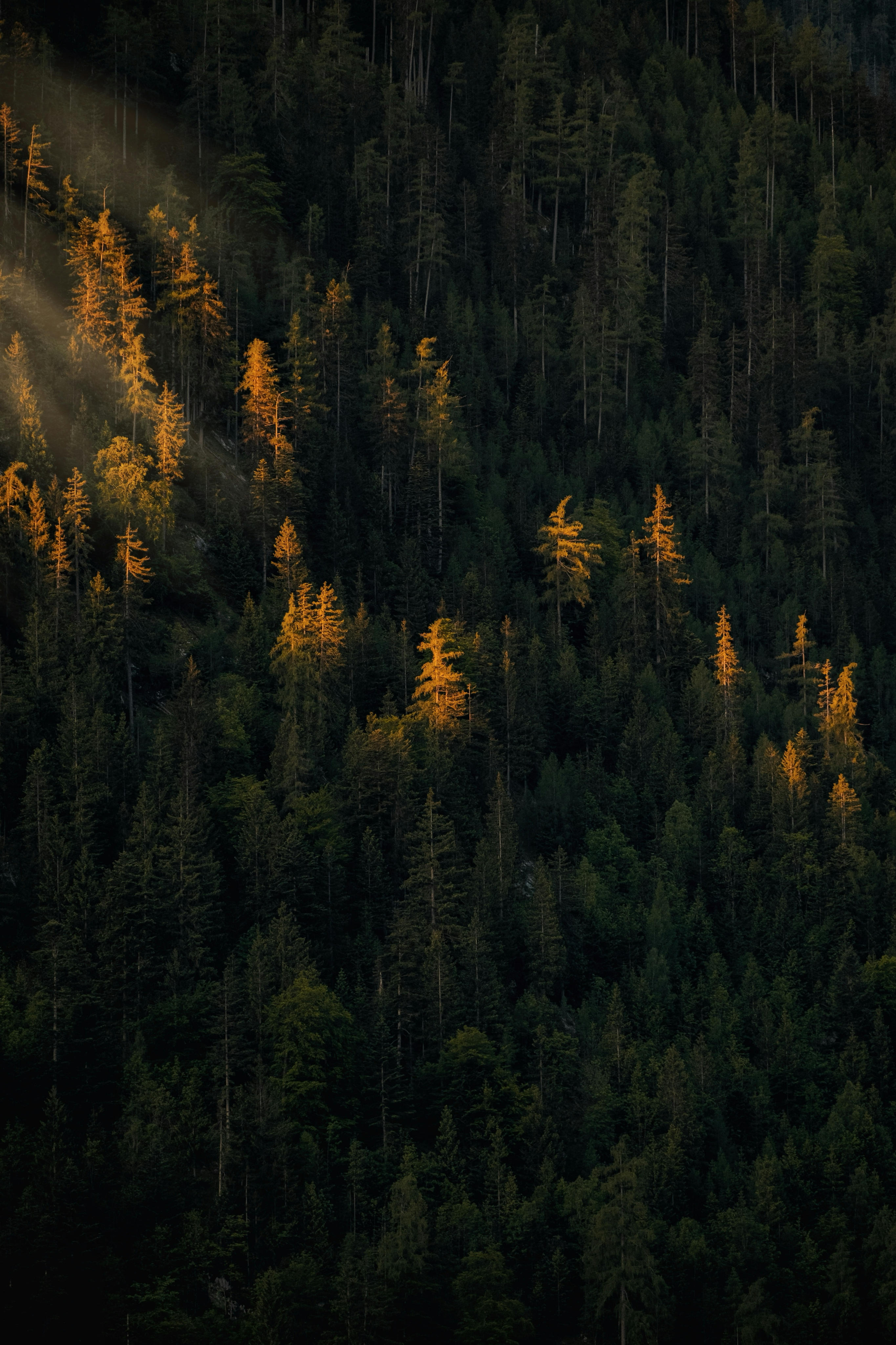 히어로 슬라이드 3